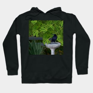 Currawong Bird Bath Fig Tree 2 Hoodie